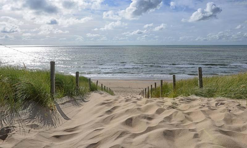 Lovely Bungalow 8P Close To Beach And Amsterdam Opmeer المظهر الخارجي الصورة